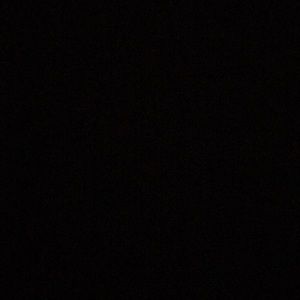 Meet your Posher, Priscilla